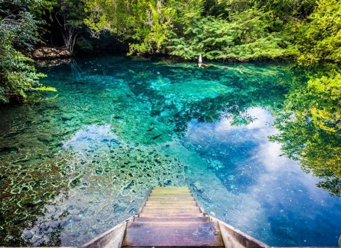 Excursión de medio día a la laguna de Punta Cana con crucero en catamarán y esnórquel